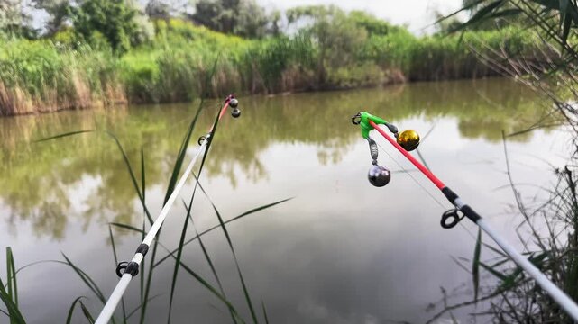 Fishing rods with bite indicators near calm pond surrounded by nature. Concept of fishing hobby and outdoor leisure.