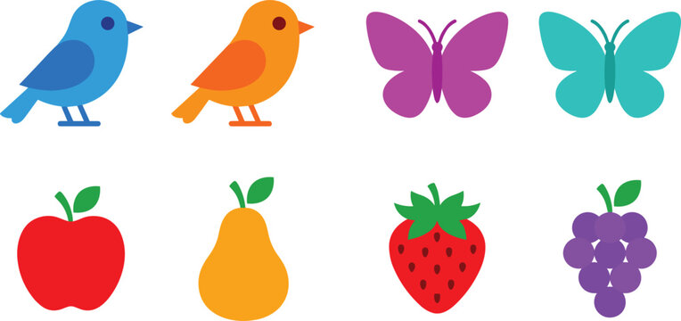 Vibrant flat vector illustration collection featuring pairs of cute perching songbirds colorful spring butterflies fresh organic garden fruits like apple pear strawberry and grapes