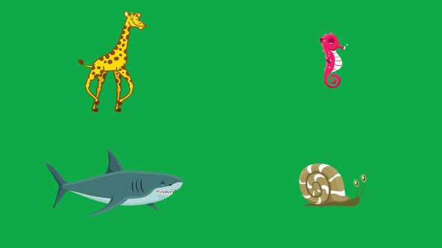 Giraffe Seahorse Shark Snail animation on green screen chroma key background flat lighting no shadow flush edge isolated minimal animated character perfect compositing vfx asset high quality render