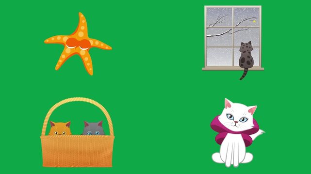 Starfish Window Basket Cat animation on green screen chroma key background flat lighting no shadow flush edge isolated minimal animated character perfect compositing vfx asset high quality render