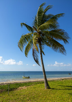 Dhow on a beach, Inhambane Province, Vilankulo, Mozambique