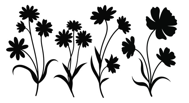 Black flowers silhouettes on white