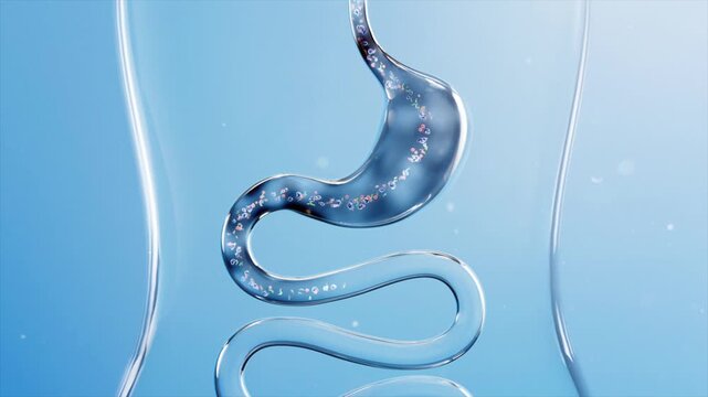 Viruses and bacteria reduce gastrointestinal motility, producing waste and toxins, leading to enteritis and intestinal diseases. Peristalsis of small intestinal villi slows down. Digestive health conc