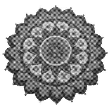 Black and white mandala pattern with intricate floral and geometric shapes isolated on transparent background