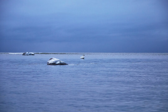 Winter sea with ice and gry stormy sky