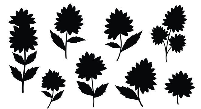 Black sunflower silhouettes on white
