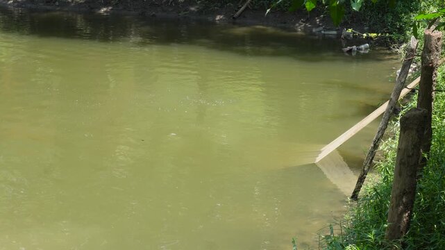 Fishermen casting fishing net for fresh fish catch