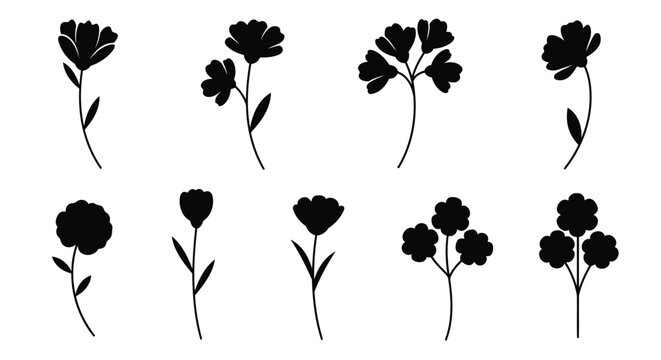 Set of black carnation flower silhouettes