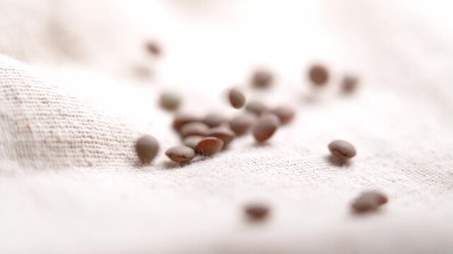 Uncooked brown lentils falling on rustic canvas. Mediterranean diet ingredient. Nutritious legume seeds