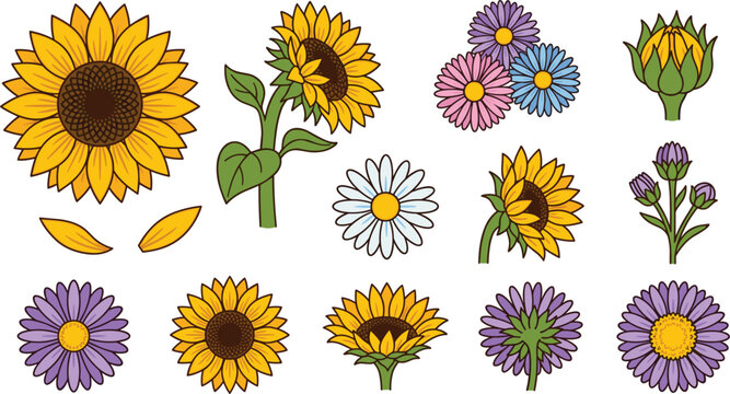 Sunflower and Aster Botanical Icon Set Featuring Yellow Blossoms Purple Daisies Flower Buds Petals and Stem Elements for Floral Graphic Design and Greeting Cards