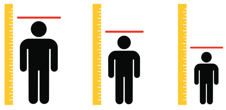 Height comparison chart of three people in flat design minimalist illustration