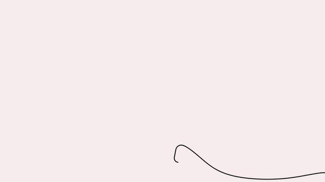 Carrot continuous line 4K animation video displays an organic vegetable concept for healthy cooking