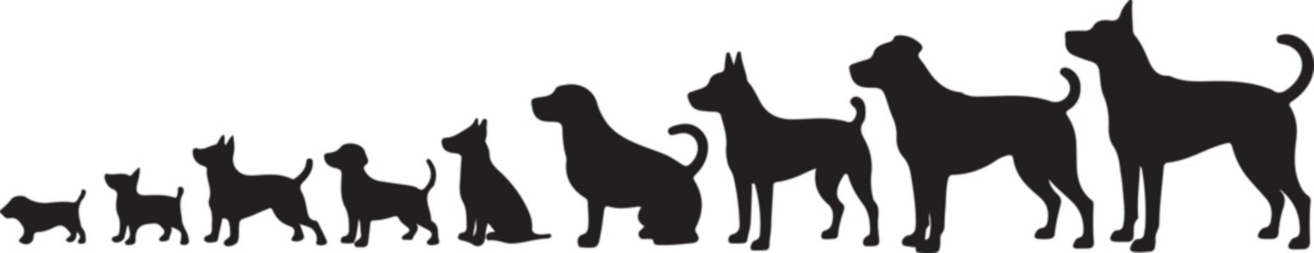 Size comparison of different dog breeds silhouette