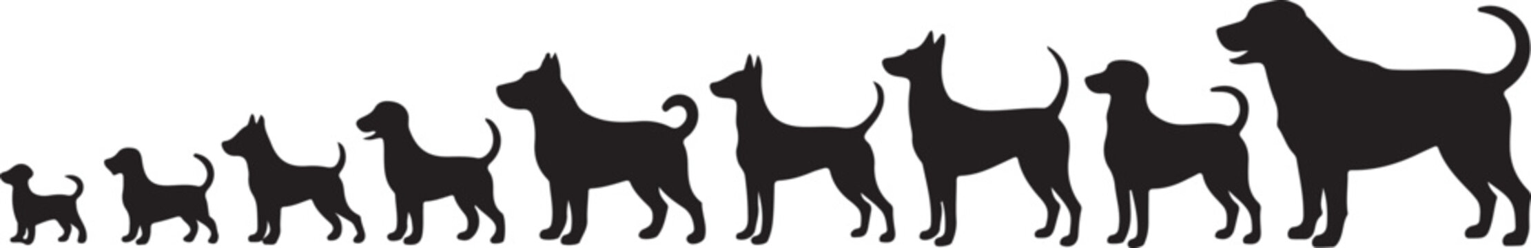 Silhouette dog size comparison illustration
