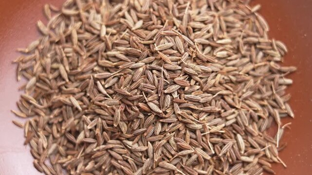 Whole cumin seeds falling onto a pile of aromatic jeera spice in slow motion. Rotation