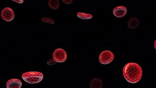 Abstract Animation Loop of Red Blood Cells Flowing Forward on a Transparent Background. 3D render of erythrocyte cells for medical hematology, anemia research and health science template design.