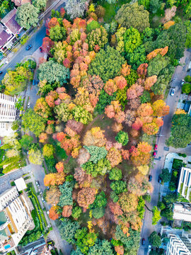 Aerial View of Pra&ccedil;a Gustavo Langsch During Autumn in Porto Alegre