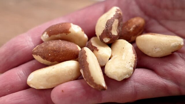 Close up of Brazil nuts resting in a human palm. Nutritious natural snack with fats and selenium. Organic superfood. Concept of wholesome snacking