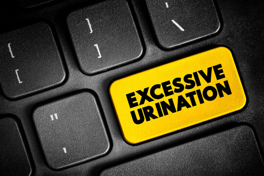Excessive Urination is when you need to urinate many times throughout a 24-hour period, text button on keyboard, concept background