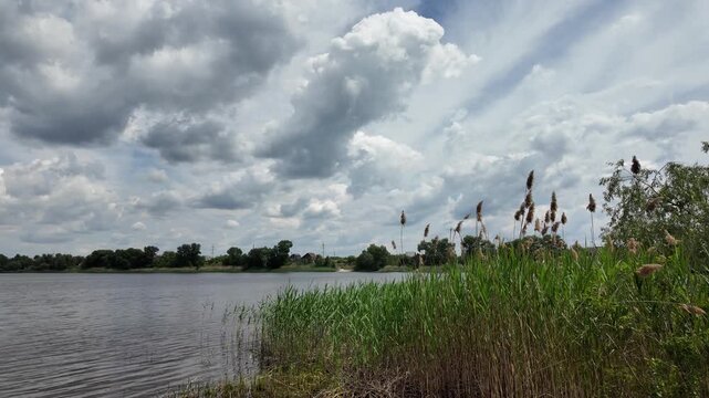 Scenic view of a calm lake with green trees on the far shore and dark grass in the foreground. Beautiful dramatic cloudy sky reflecting in the peaceful water during a summer day outdoors.