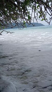 Ocean Waves Crashing on Sandy Shore of Radhanagar Beach under Tree Canopy, Havelock Island, Andaman, India
