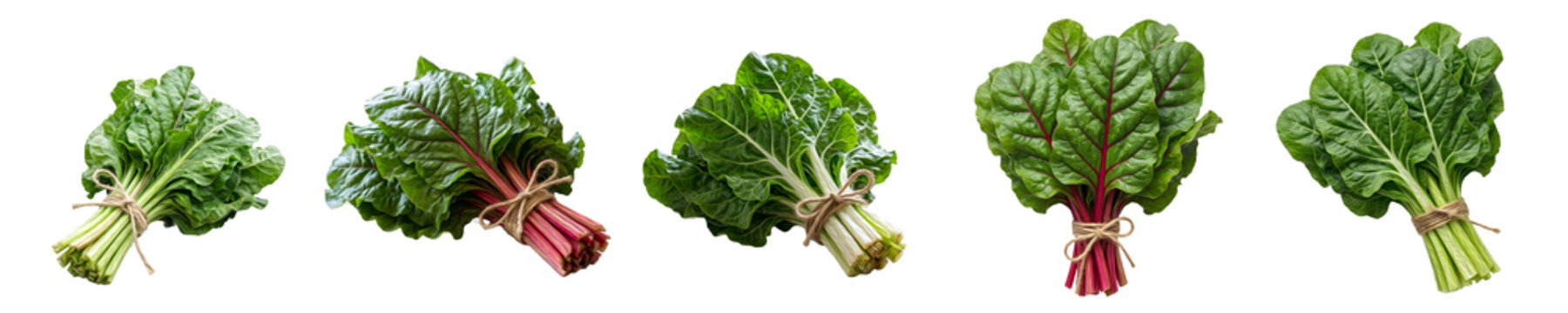 Collection of fresh green Swiss chard and rhubarb bundles tied with twine string, shown from multiple angles isolated on a white background for grocery food graphics.