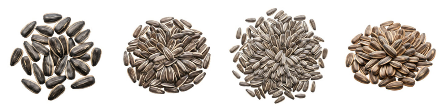 Raw Sunflower Seeds in Shell Piles Top View - Isolated White Background