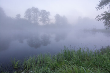 Obraz premium misty lake at dawn, where dense fog obscures the distant trees and reflects softly on water