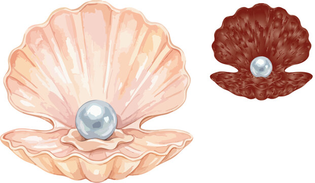 Elegant pearl in open seashell vector, luxury oyster shell with shiny pearl illustration, nautical marine jewelry elements on white background