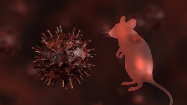Mouse silhouette interacting with a large, textured red virus particle, representing disease transmission, pandemic spread, and zoonotic infection in a scientific context