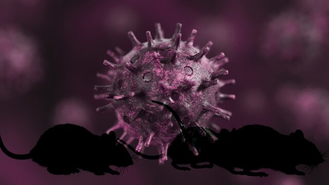 Zoonotic virus represented by a magnified pathogen structure hovering over silhouettes of rats, illustrating cross-species transmission and the spread of infectious disease