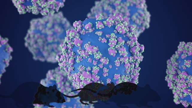 Rats appearing to notice prominent, detailed viral structures, illustrating biological hazard and the study of disease transmission in a laboratory research setting