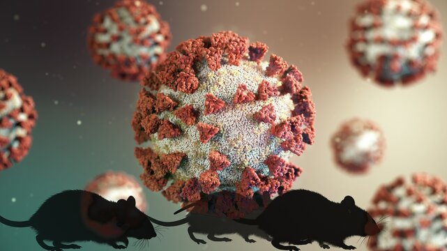 Illustrating zoonotic transmission of covid-19 as multiple rats trek across a microscopic virus environment, depicting the pathway of disease spread from animals to humans