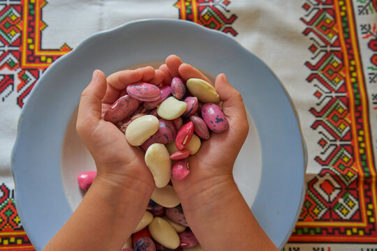 Children's hands hold a handful of colored beans above a plate, a child plays with colored beans, Development of fine motor skills, Small hands hold a handful of natural raw beans of different colors
