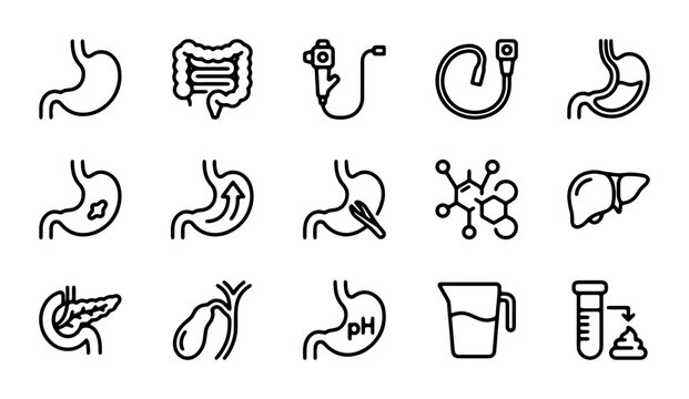 Digestive System Icons, Stomach, Intestine, Liver, Pancreas, Gallbladder, Medical Health Vector Set