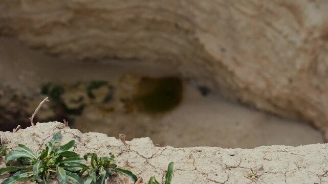 Ground-level footage showing a large sinkhole with steep eroded walls in a rural landscape. Geological formation, natural ground collapse, karst terrain, and dry soil textures are clearly visible.