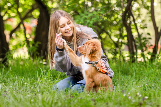 Sweet Teen Girl Playing In The Grass With A Toller Puppy During A Walk In The Forest