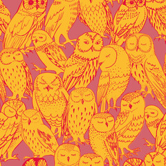 Fototapeta premium Colorful owls Redish