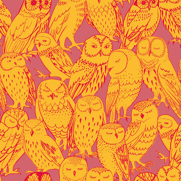Colorful owls Redish