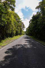 Obraz premium Asphalt road on green tree mountain forest