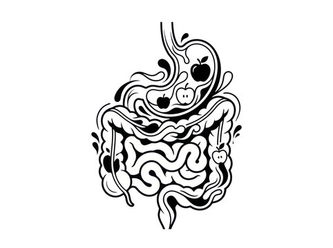 Digestive System Anatomy with Healthy Food Elements.