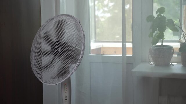 The white fan works to cool the room during the abnormal heat while standing in front of a window with tulle linen curtains