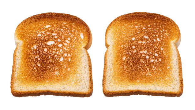 Two golden brown toasted bread slices with porous texture
