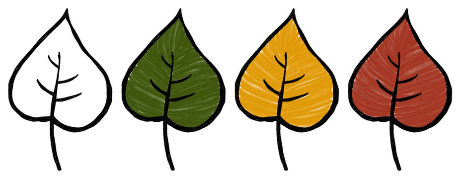 The drawings, created with colored pencils, depict leaves in various colors green, yellow, and red against a solid, transparent background. This is an example of a simple art project.