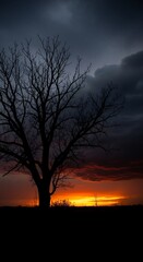 Naklejka premium Bare Tree Silhouette Standing Against Dramatic Sunset Sky in Open Landscape