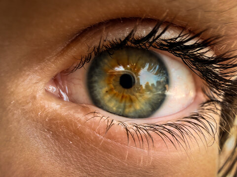 Primer plano de ojo verde avellana con reflejos naturales en el iris &mdash; fotograf&iacute;a iPhone 17 Pro