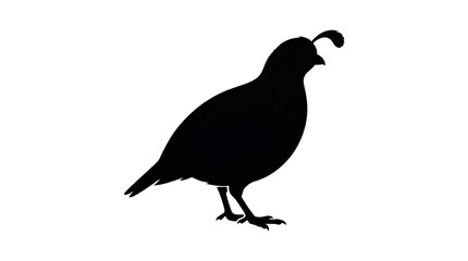 Fototapeta premium Black silhouette quail, bird icon, wildlife illustration, animal design element