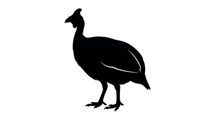 Fototapeta premium Black guinea fowl silhouette, bird icon, wildlife illustration, animal design element