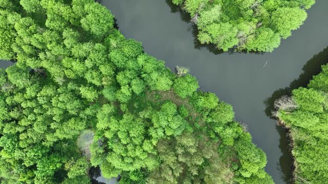 Flooded Quarry Basin &ndash; Top Down Forward Aerial Shot Over Layered Water Forms