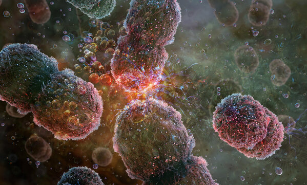 Bacterial cells in microscopic environment, microbial interaction and survival mechanisms. Infectious disease, antimicrobial resistance, antibiotic research. Microbiology, pharmaceutical development 